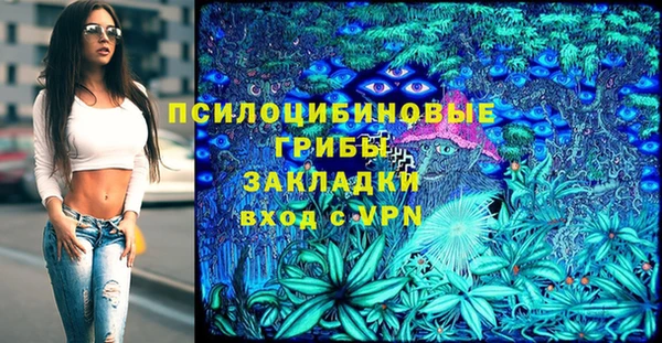 амф Абдулино