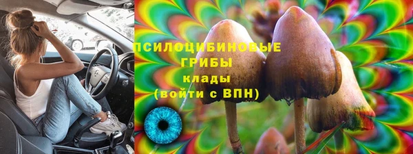 амф Абдулино