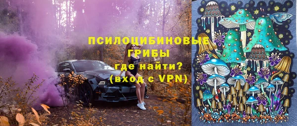 амф Абдулино