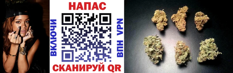 купить закладку Тырныауз ОМГ ОМГ онион Бошки Шишки тримм